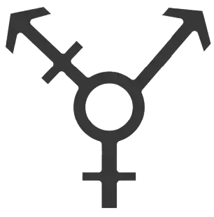 rdvplan_-_rencontres_trans
